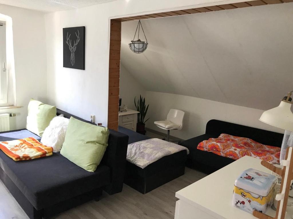 Ferienwohnung Im Einfamilienhaus, Automobil Und Robert Schumann Stadt Zwickau Eksteriør billede